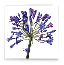 Load image into Gallery viewer, Garden set of six greeting cards