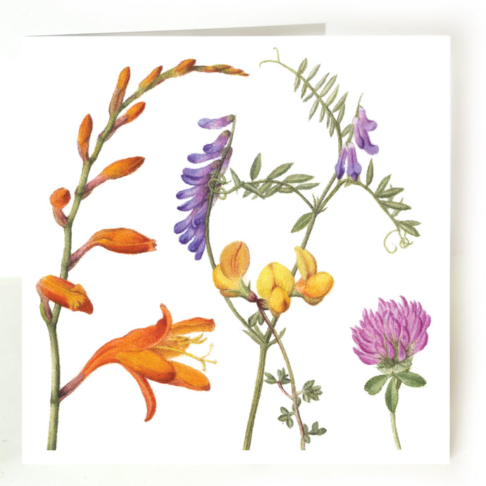 Atlantic Flora II card