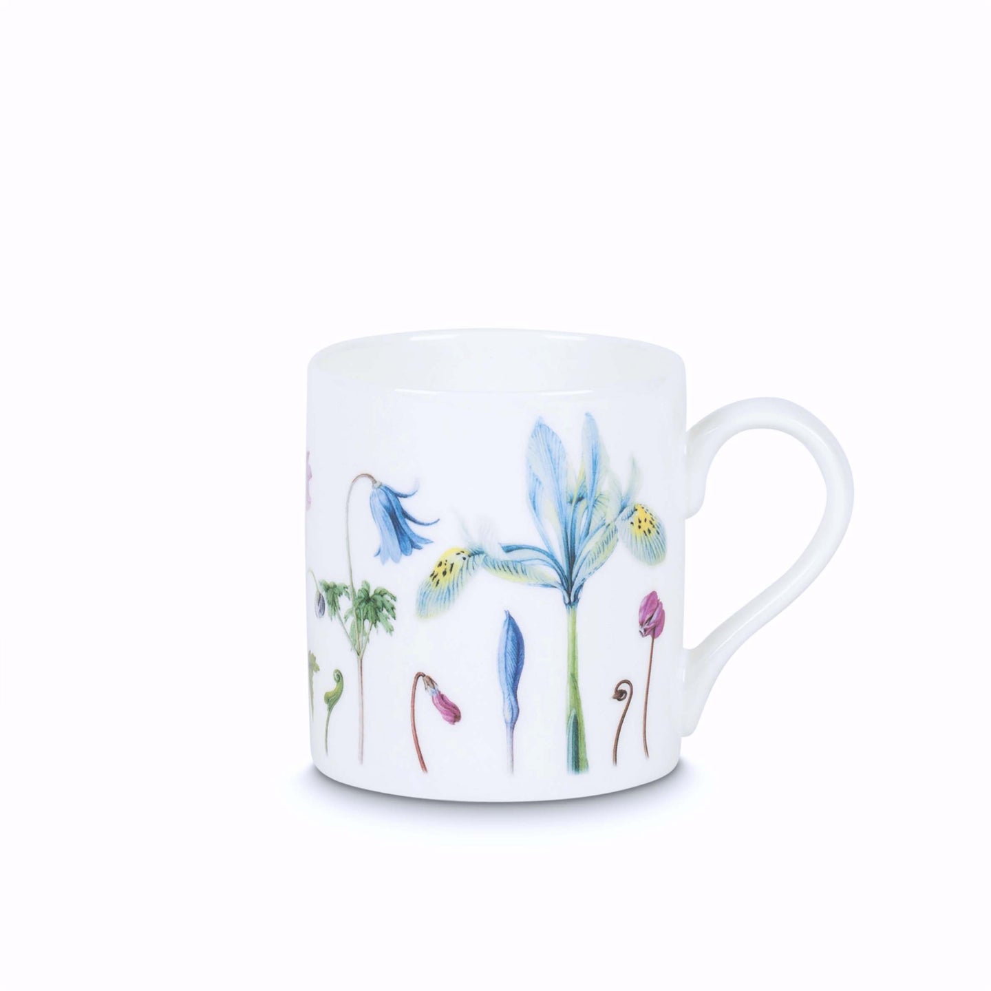 Small Garden bone china mug