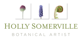 Botanical Art Giftware