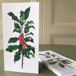 Dargle Hill Holly botanical art cards