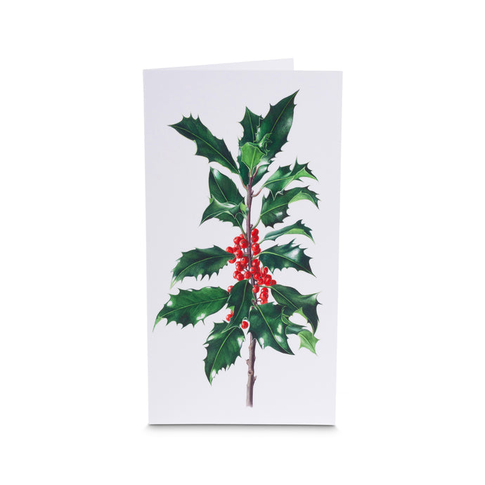Dargle Hill Holly botanical art card