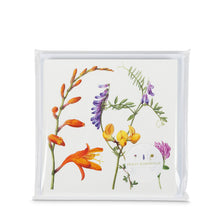Load image into Gallery viewer, Atlantic Flora greeting cards - packaged
