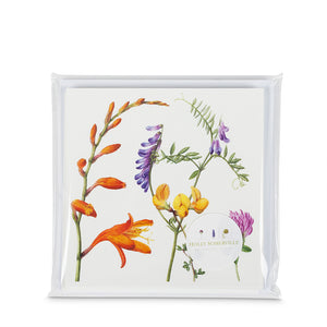 Atlantic Flora greeting cards - packaged